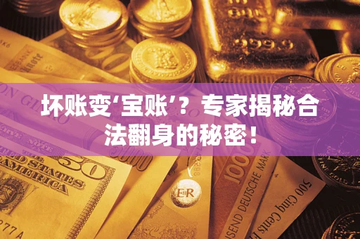北京坏账变‘宝账’？专家揭秘合法翻身的秘密！