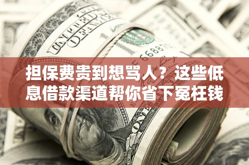 北京担保费贵到想骂人？这些低息借款渠道帮你省下冤枉钱