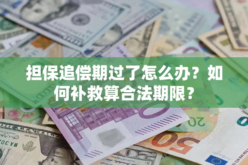 北京担保追偿期过了怎么办？如何补救算合法期限？