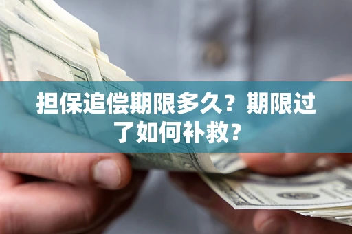 北京担保追偿期限多久？期限过了如何补救？