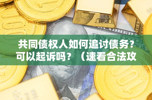 北京共同债权人如何追讨债务？可以起诉吗？（速看合法攻略）