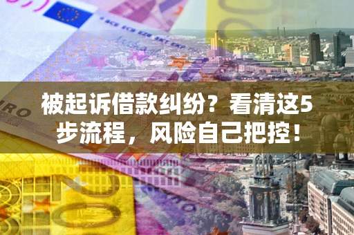 北京被起诉借款纠纷？看清这5步流程，风险自己把控！