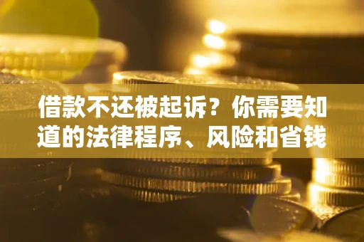 北京借款不还被起诉？你需要知道的法律程序、风险和省钱技巧